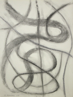 Recent Paintings and Drawings - <i>Untitled</i>, 2005. Pastel on paper, 14 x 10 3/4 in.