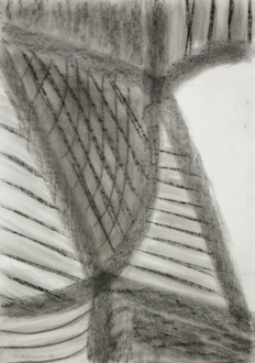 <i>Untitled</i>, 2006. Pastel on paper, 20 x 14 in.