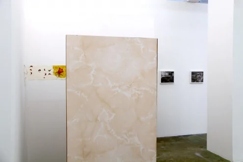 Sheela Gowda, Yamini Nayar – Arrested Views - Installation view toward north wall.