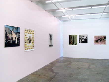 Elaine Stocki – The Palms - Installation view, west and north wall.