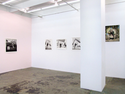 Elaine Stocki – The Palms - Installation view, east and south wall.