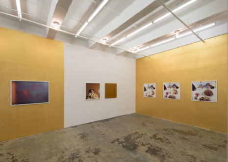 Hoar Frost – Elaine Stocki - Installation view: east and south wall