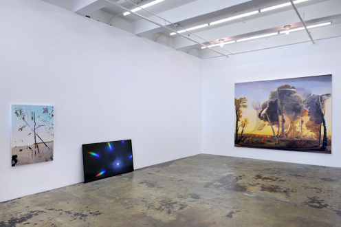 Spirited Densities – Ryan McLaughlin, Zach Nader, Ferdinand Penker, Emma Webster - Installation view: west and north