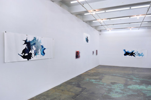 Aditi Singh – So much the less complete - Installation view: west and north walls