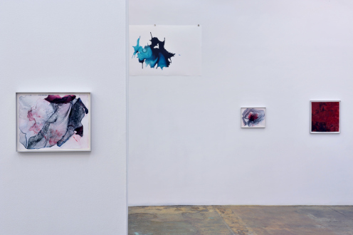 Aditi Singh – So much the less complete - Installation view: west wall