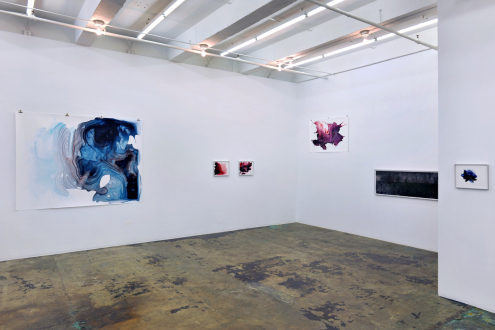 Aditi Singh – So much the less complete - Installation view: east and south walls