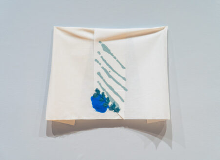 Richard Tuttle: <i>Renaissance Unframed #17</i>,
Encaustic monotype paintings on muslin,
24-3/8 x 21-1/8 in. Photo: Christopher Harris.