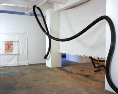 Senga Nengudi – Asp-Rx - Installation view: Senga Nengudi, Asp-Rx, 2005.