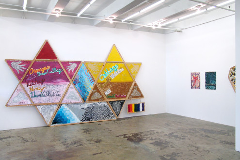 Installation view: <i>Bad Faith and Universal Technique</i>, 2014.