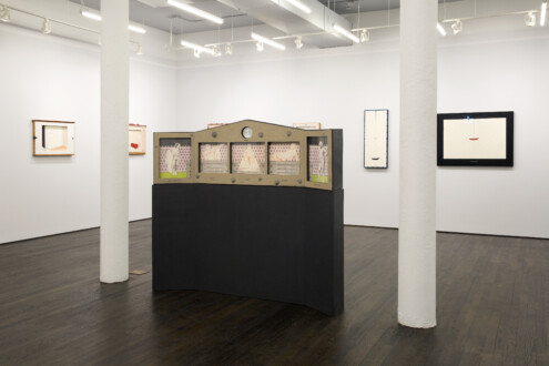 White Columns – Anne Minich - Anne Minich, installation view, January 23 - March 7, 2020. Courtesy of the artist and White Columns. Photo: Marc Tatti.