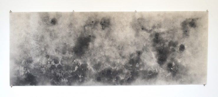 Aiditi Singh – All that is left behind - Aditi Singh, Untitled, 2013-15, Graphite on parchment paper, 36 x 88 in.