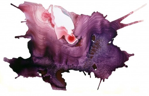 Aditi Singh - Thomas Erben Gallery