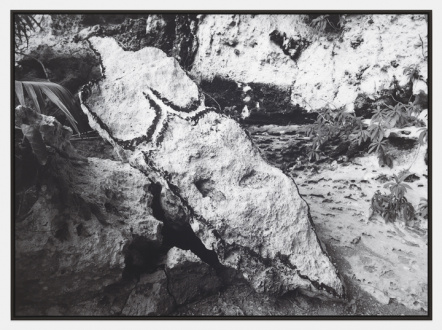 ecofeminism(s) curated by Monika Fabijanska - Ana Mendieta, Bacayu (Esculturas Rupestres) [Light of Day (Rupestrian Sculptures)], 1981/2019. Black and white photograph, 40 x 55 in (101.6 x 139.7 cm). Edition 2 of 3 with 2 AP © The Estate of Ana Mendieta Collection, LLC. Courtesy Galerie Lelong & Co. 