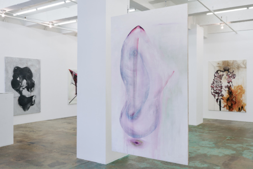 Blue Is the Decayed Pink 2022 - Installation view, south and east walls.