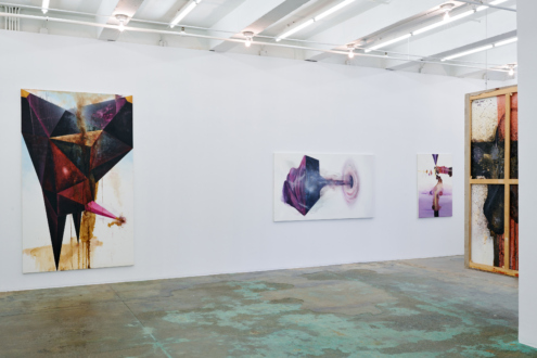 Blue Is the Decayed Pink 2022 - Installation view, north wall.