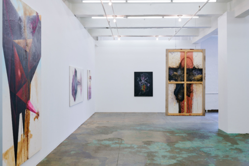 Blue Is the Decayed Pink - Installation view, north and west walls.