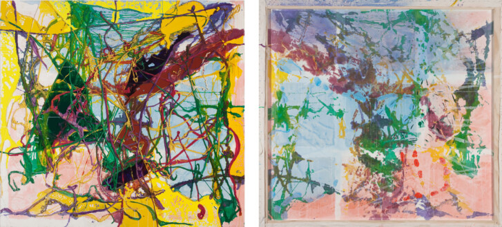 Dona Nelson – Double sided paintings - <i data-eio=