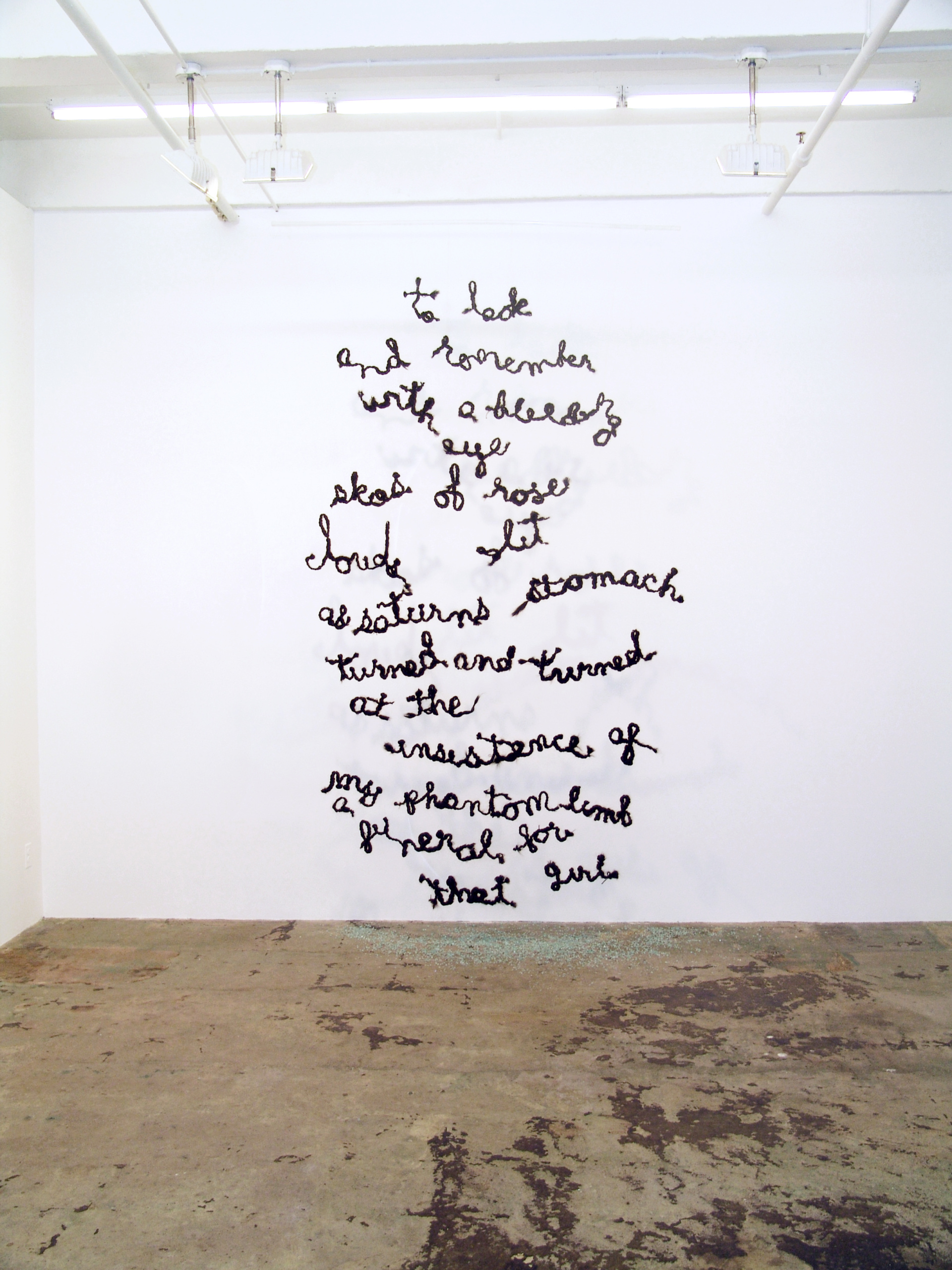 Chitra Ganesh – Upon Her Precipice - Installation view.