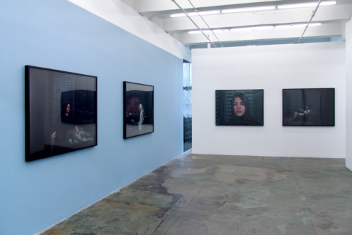 Installation view, West and North wall. Thomas Erben Gallery, Look, April 11 - May 11, 2013.