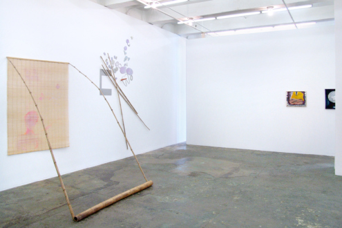 Yevgeniya Baras – Carolin Eidner – Adelhyd van Bender - Installation view.