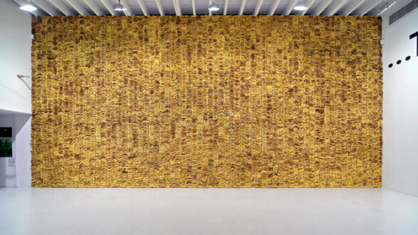 Installation view, <I>Banana wall</i> (III).
