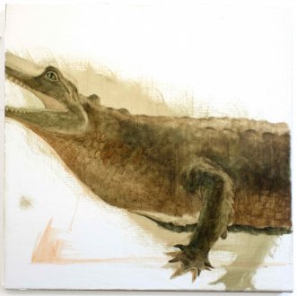 Fiza Khatri, <i>Taxidermied Gharial at the Peabody Museum</i>, 2022. Oil on canvas, 18 x 18 in.