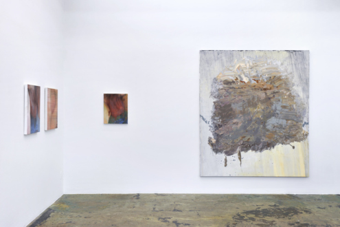 Hard Sauce – Hanneline Røgeberg - Installation view: east and south wall