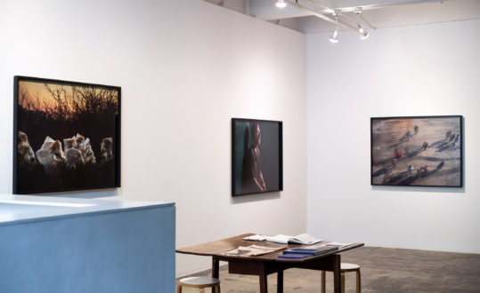 For The Sake of Calmness - Installation view, East and South walls. Photograph by Kwesi Floyd.