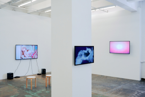 Installation view, west and north walls. Photography by Phillip Reed.