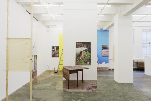 Installation view: north wall