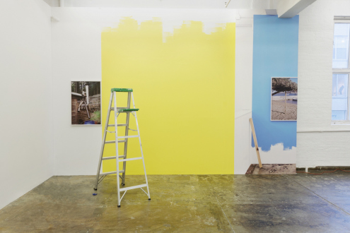 Kathrin Sonntag – Problems and Solutions - Problems and Solutions: Section 4, 2017. Photographic wallpaper mounted on wooden panel, photographic wallpaper, painted wall (dimensions variable), ladder, masking tape Photographic object: 37 x 25 in. photographic wallpaper: 138 x 53 in. (length variable)