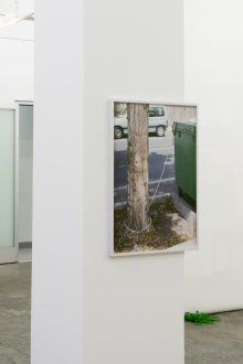 Kathrin Sonntag – Problems and Solutions - Problems and Solutions: Section 8, 2017. Photographic wallpaper mounted on wooden panel on column 25 x 37 in.