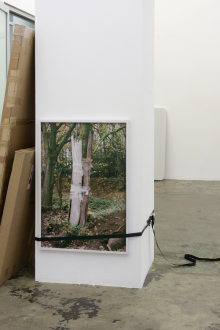 Kathrin Sonntag – Problems and Solutions - Problems and Solutions: Section 9, 2017. Photographic wallpaper mounted on wooden panel, strapped to column 25 x 37 in.