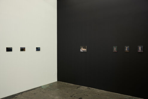 Installation view of east and north walls. 