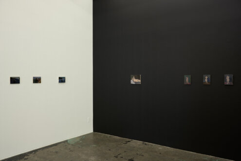 New Work - Installation view of east and north walls. 