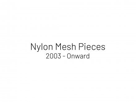 Nylon Mesh 2003 – onward - Thomas Erben Gallery