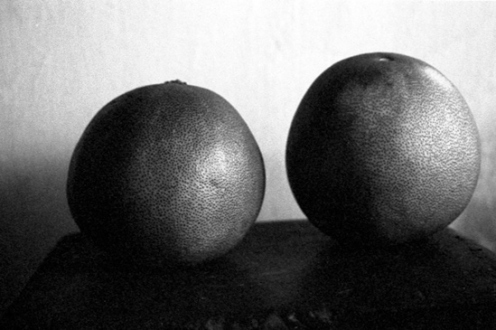 PAT – Unseen, unheard, unexplained - PAT Untitled (Fruit B/W, 2), 2007. Gelatin silver print, 7.75 x 11.5 in (image size), ed. of 7.