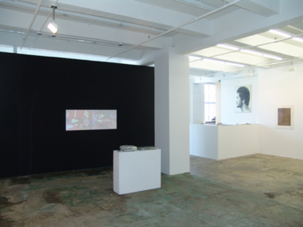 Contemporary Art from Pakistan – Huma Mulji, Bani Abidi, Naiza Khan, Hamra Abbas, Rashid Rana, Mahbub Shah, Zahoor Ul Akhlaq, Muhammad Zeeshan - Installation view, north and east wall: Bani Abidi, Mahbub Shah, Muhammad Zeeshan.