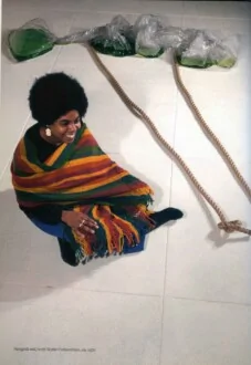 Water Compositions - <i data-src=