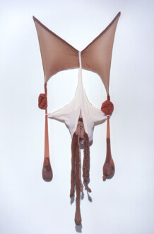 Nylon Mesh - <i data-eio=