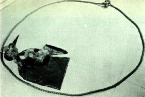 Water Compositions - <i data-src=