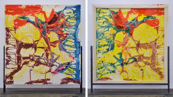 Dona Nelson – Double sided paintings - <i data-eio=