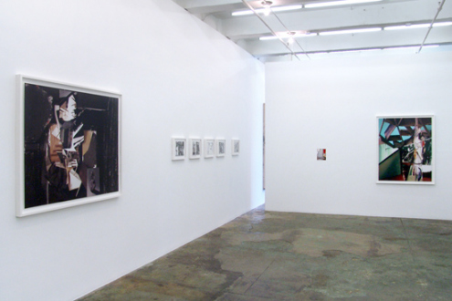 Yamini Nayar – an axe for a wing-bone - Installation view, west and north wall.