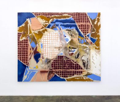 Dona Nelson, <i>Cardinal Plane</i>, 2024. Acrylic and acrylic mediums on canvas, 88 x 108 in.