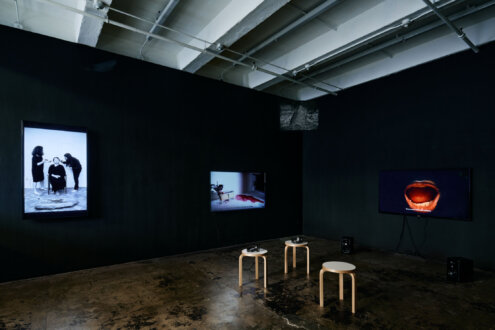 Of Mourning and Revolt: Episodes from Barbad Golshiri’s ‘Curriculum Mortis’ - Installation view, east wall.