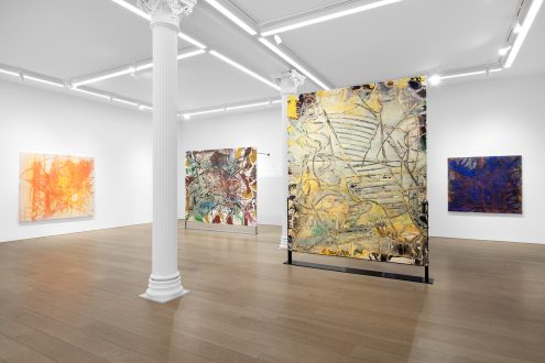 The Individualism of Dona Nelson - Thomas Erben Gallery