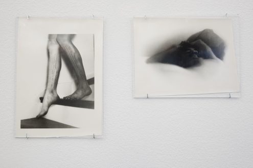 Hannah Beerman and Olivia Reavey: New Works - Olivia Reavey <i data-eio=