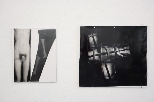 Hannah Beerman and Olivia Reavey: New Works - Olivia Reavey <i data-eio=