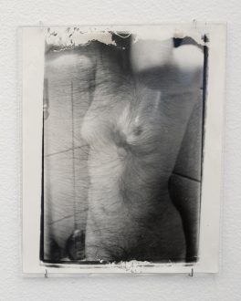 Hannah Beerman and Olivia Reavey: New Works - Olivia Reavey <i data-eio=