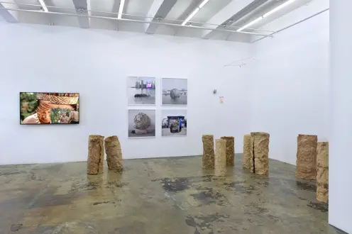 Installation view of ecofeminism(s), left to right: Carla Maldonado, Mary Mattingly, Cecilia Vicuña, and Bilge Friedlaender. Courtesy of Thomas Erben Gallery, New York, June/July 2020.